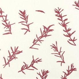 Rosemary (Japan Red) - white - £130 per 3m roll (134cm wide roll)